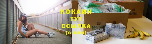 спайс Инсар