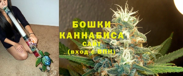 бошки Инта