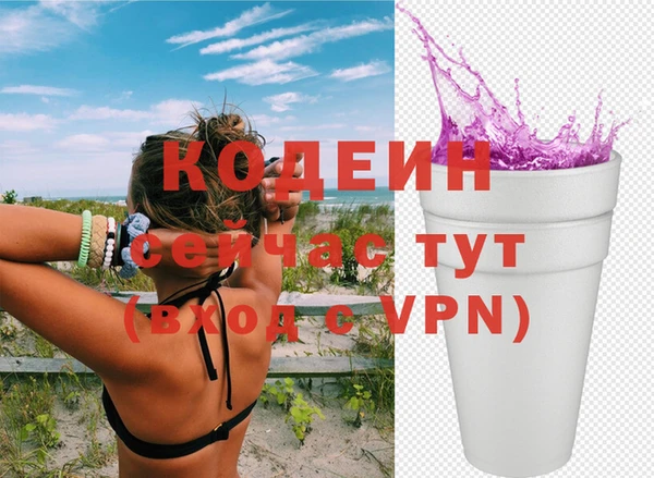 бошки Инта