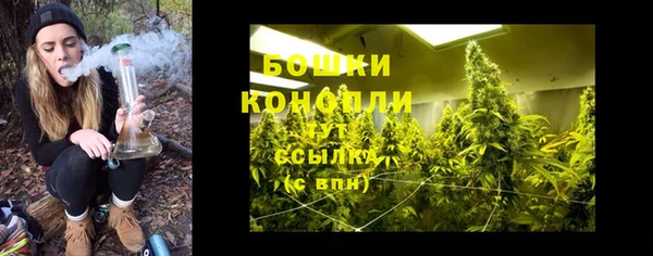 спайс Инсар